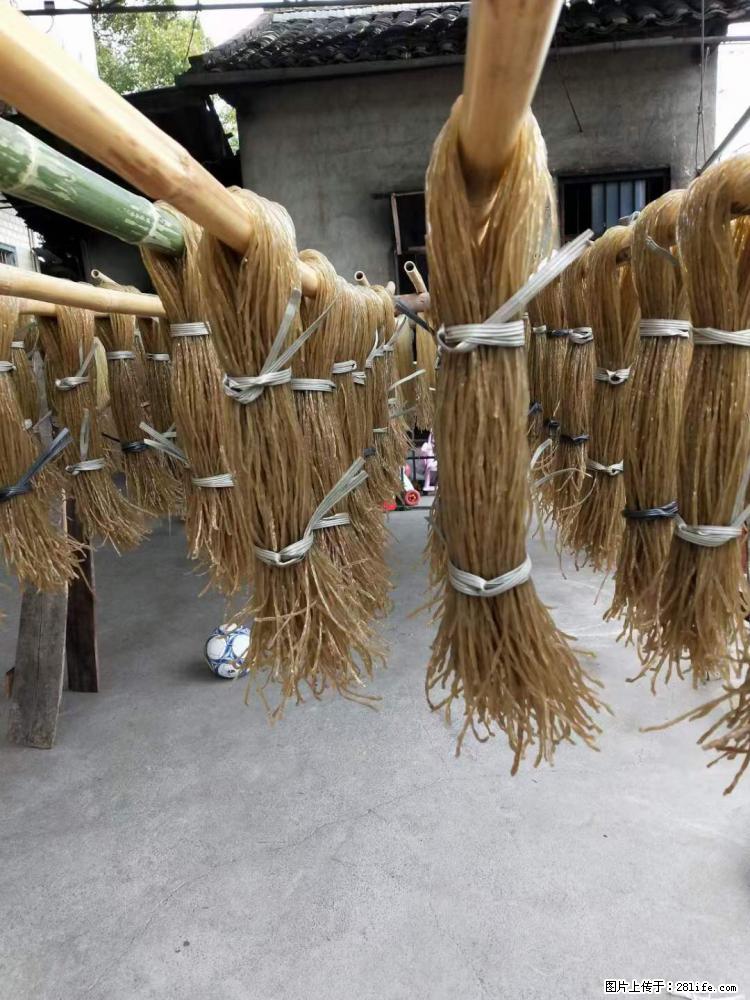 【灌阳正宗红薯粉】美女家里自己做的，干净卫生，假一赔十，价格合理，抢购电话：13737312895 - 土特产 - 饮食特产 - 丽水分类信息 - 丽水28生活网 lishui.28life.net