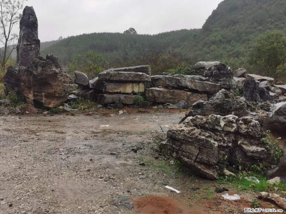 风景石、假山石大量有货，有需要的欢迎联系 - 新手上路 - 丽水生活社区 - 丽水28生活网 lishui.28life.net