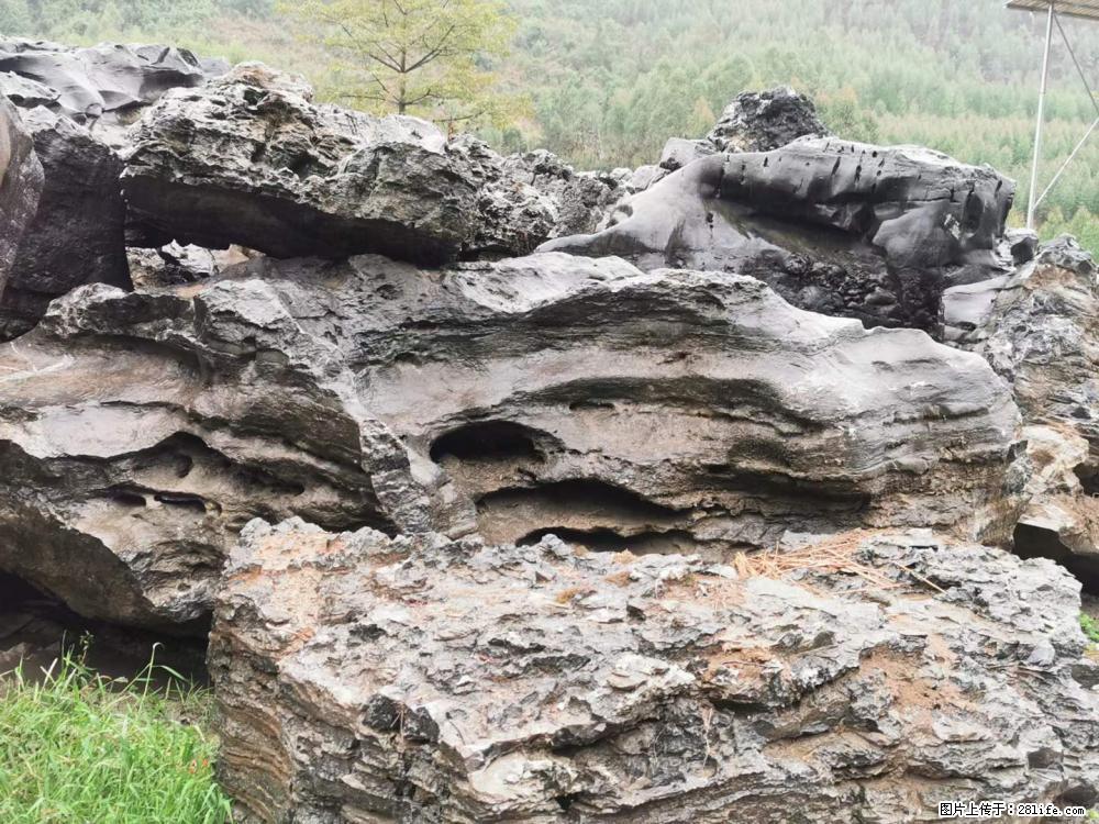 风景石、假山石大量有货，有需要的欢迎联系 - 新手上路 - 丽水生活社区 - 丽水28生活网 lishui.28life.net