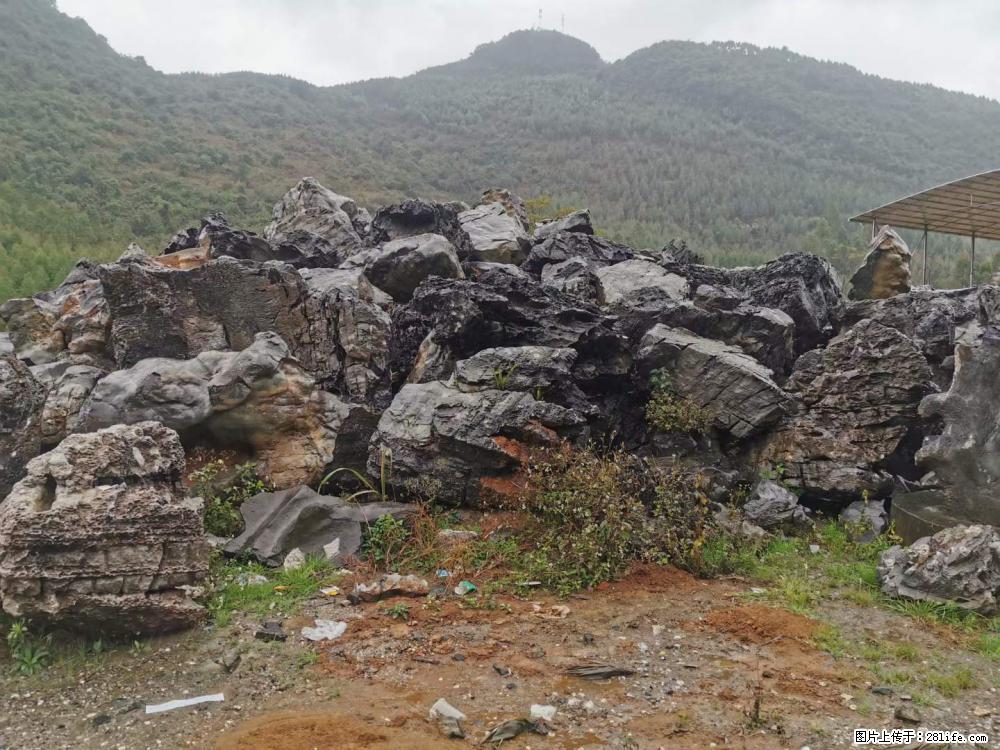 风景石、假山石大量有货，有需要的欢迎联系 - 新手上路 - 丽水生活社区 - 丽水28生活网 lishui.28life.net