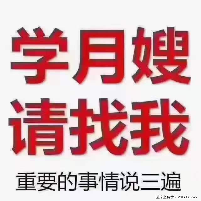 为什么要学习月嫂，育婴师？ - 其他广告 - 广告专区 - 丽水分类信息 - 丽水28生活网 lishui.28life.net