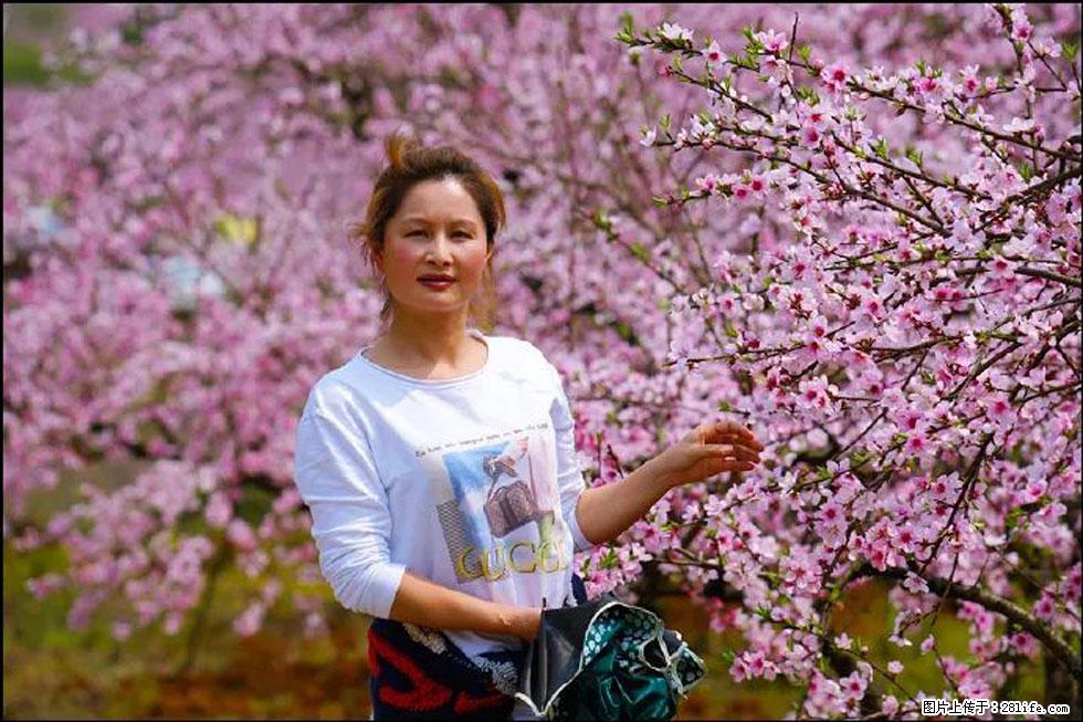 【春天，广西桂林灌阳县向您发出邀请！】官庄村有个醉美的桃花园 - 游山玩水 - 丽水生活社区 - 丽水28生活网 lishui.28life.net