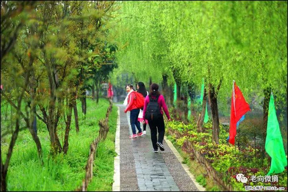 【春天，广西桂林灌阳县向您发出邀请！】江口老街又逢春 - 游山玩水 - 丽水生活社区 - 丽水28生活网 lishui.28life.net