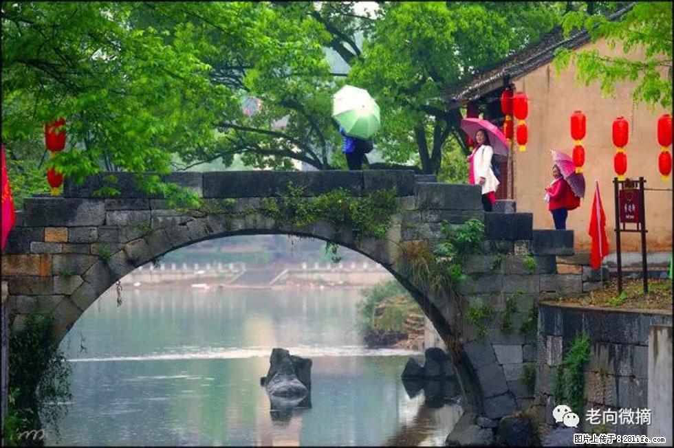【春天，广西桂林灌阳县向您发出邀请！】江口老街又逢春 - 游山玩水 - 丽水生活社区 - 丽水28生活网 lishui.28life.net