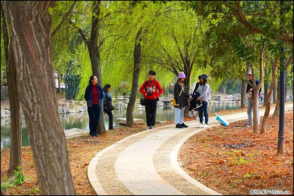 【春天，广西桂林灌阳县向您发出邀请！】江口老街又逢春 - 游山玩水 - 丽水生活社区 - 丽水28生活网 lishui.28life.net