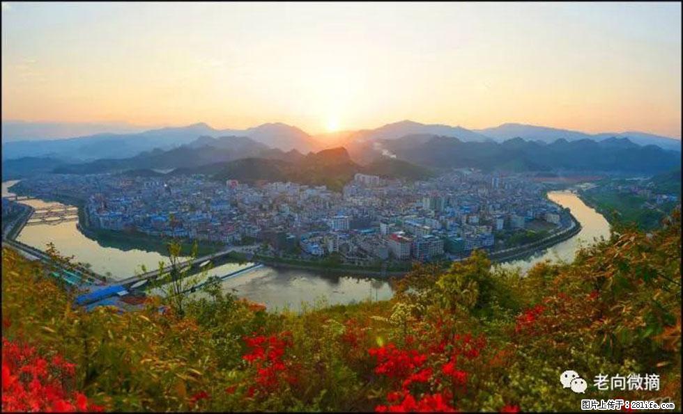 【春天，广西桂林灌阳县向您发出邀请！】登麒麟山，相约映山红 - 游山玩水 - 丽水生活社区 - 丽水28生活网 lishui.28life.net