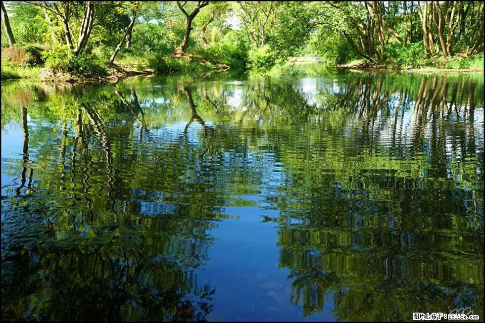 【春天，广西桂林灌阳县向您发出邀请！】熊家寨湿地公园 - 游山玩水 - 丽水生活社区 - 丽水28生活网 lishui.28life.net