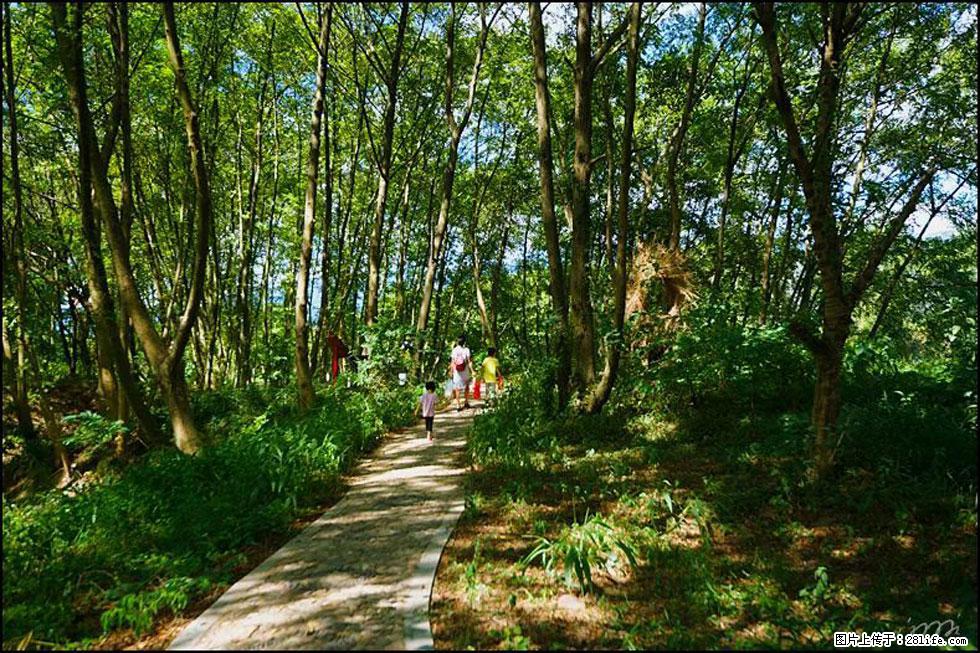 【春天，广西桂林灌阳县向您发出邀请！】熊家寨湿地公园 - 游山玩水 - 丽水生活社区 - 丽水28生活网 lishui.28life.net