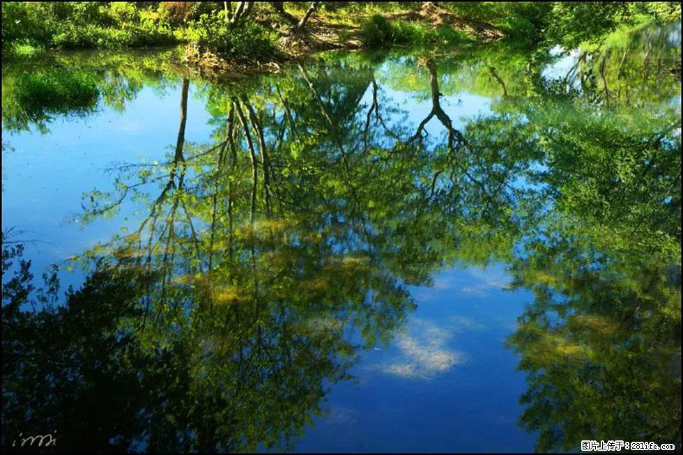 【春天，广西桂林灌阳县向您发出邀请！】熊家寨湿地公园 - 游山玩水 - 丽水生活社区 - 丽水28生活网 lishui.28life.net