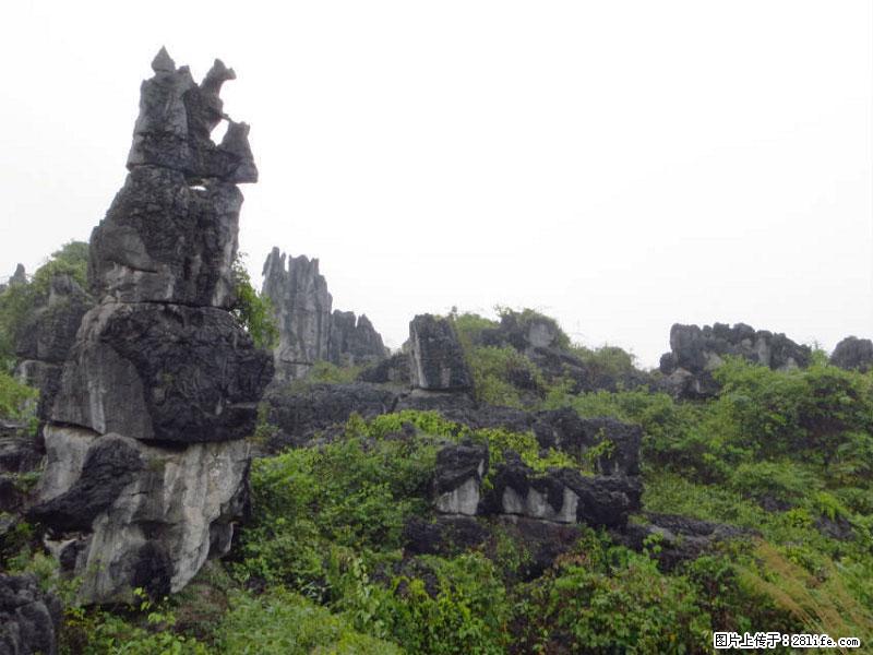 桂林旅游名城景点：灌阳文市石林 - 游山玩水 - 丽水生活社区 - 丽水28生活网 lishui.28life.net