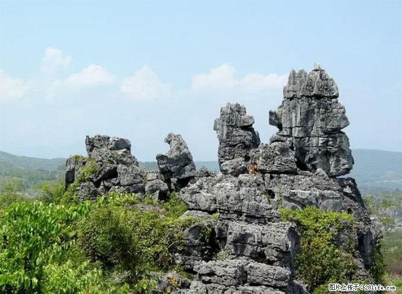 桂林旅游名城景点：灌阳文市石林 - 游山玩水 - 丽水生活社区 - 丽水28生活网 lishui.28life.net