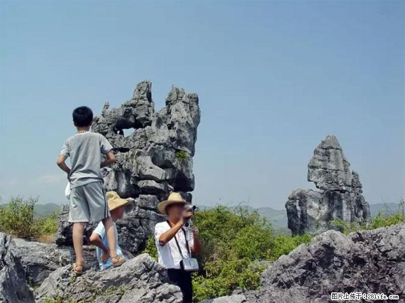 桂林旅游名城景点：灌阳文市石林 - 游山玩水 - 丽水生活社区 - 丽水28生活网 lishui.28life.net