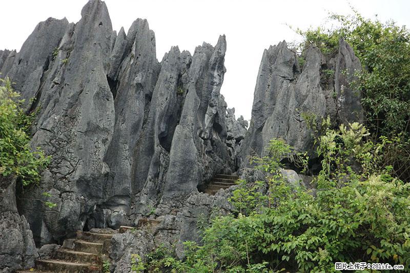 桂林旅游名城景点：灌阳文市石林 - 游山玩水 - 丽水生活社区 - 丽水28生活网 lishui.28life.net