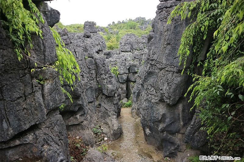 桂林旅游名城景点：灌阳文市石林 - 游山玩水 - 丽水生活社区 - 丽水28生活网 lishui.28life.net