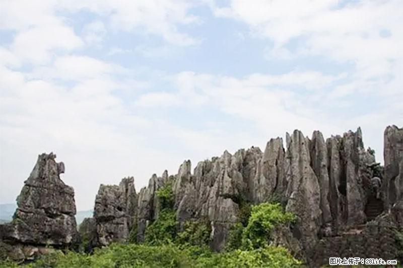 桂林旅游名城景点：灌阳文市石林 - 游山玩水 - 丽水生活社区 - 丽水28生活网 lishui.28life.net