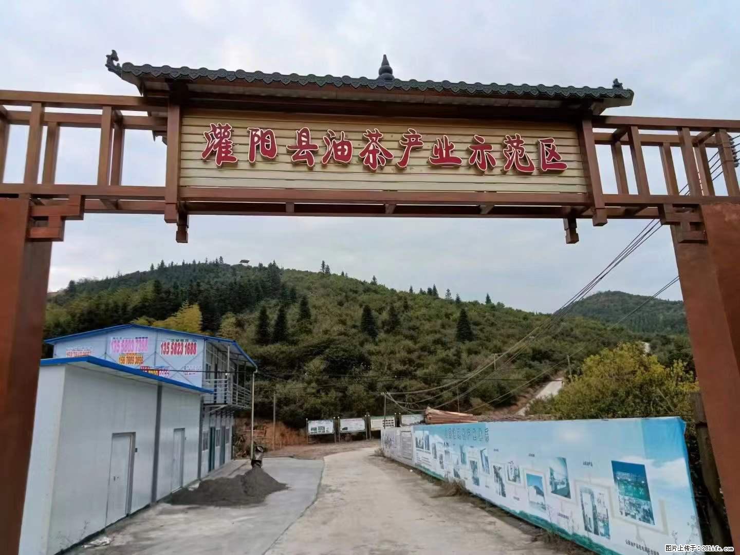 【灌阳县油茶产业示范区】一个有着充实的精神生活的人，对待身外之物自会有一种淡泊的态度 - 美食天地 - 丽水生活社区 - 丽水28生活网 lishui.28life.net