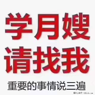 为什么要学习月嫂，育婴师？ - 丽水28生活网 lishui.28life.net