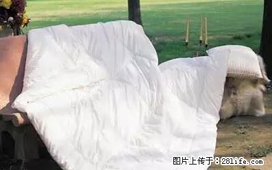 被子有异味？只要这样做，比晒太阳还强100倍！ - 家居生活 - 丽水生活社区 - 丽水28生活网 lishui.28life.net