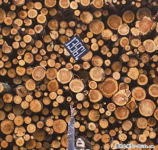 辞掉工作周游世界？现在他们在洗厕所…… - 游山玩水 - 丽水生活社区 - 丽水28生活网 lishui.28life.net