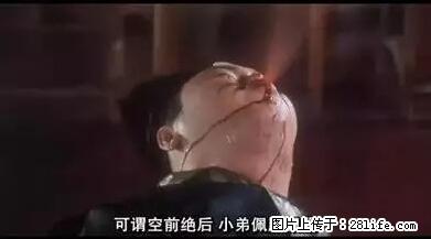 笑癫了！一女的怀孕三年未生，他终于忍不住了... - 娱乐八卦 - 丽水生活社区 - 丽水28生活网 lishui.28life.net
