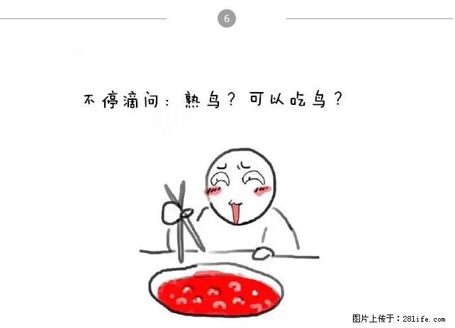 千万不要和这9种哈卵一起吃火锅！ - 美食天地 - 丽水生活社区 - 丽水28生活网 lishui.28life.net