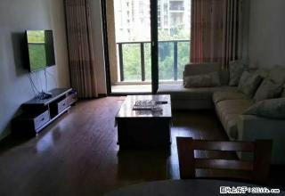 新湖国际一期 精装修 - 丽水28生活网 lishui.28life.net