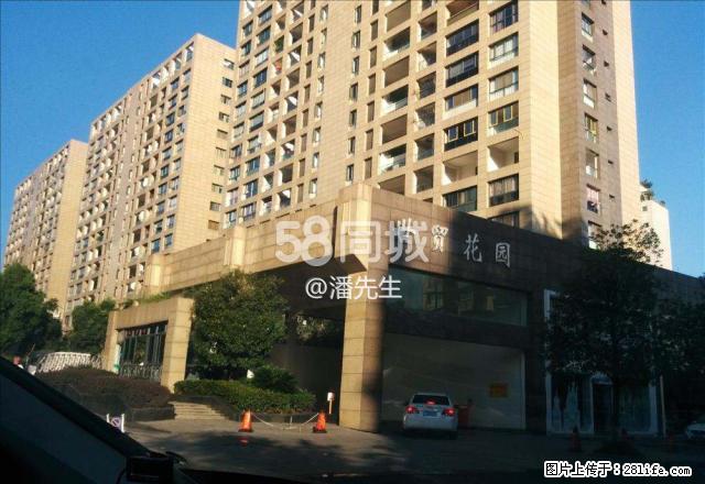 世贸花园（万地广场单身公寓）免中.介费 1室厅1卫 - 房屋出租 - 房屋租售 - 丽水分类信息 - 丽水28生活网 lishui.28life.net