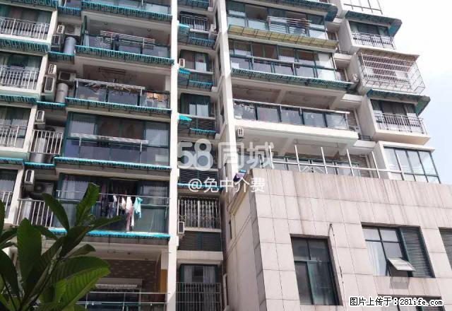 春风佳苑（万地对面电梯房）免中.介费 2室1厅1卫 - 房屋出租 - 房屋租售 - 丽水分类信息 - 丽水28生活网 lishui.28life.net