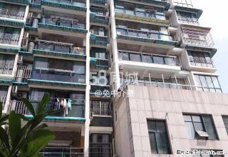 春风佳苑（万地对面电梯房）免中.介费 2室1厅1卫 - 丽水28生活网 lishui.28life.net
