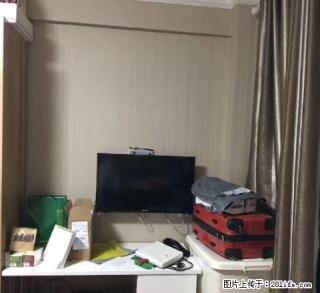 城北苑单身公 1室1厅40平米 拎包入住 停车方便 - 丽水28生活网 lishui.28life.net