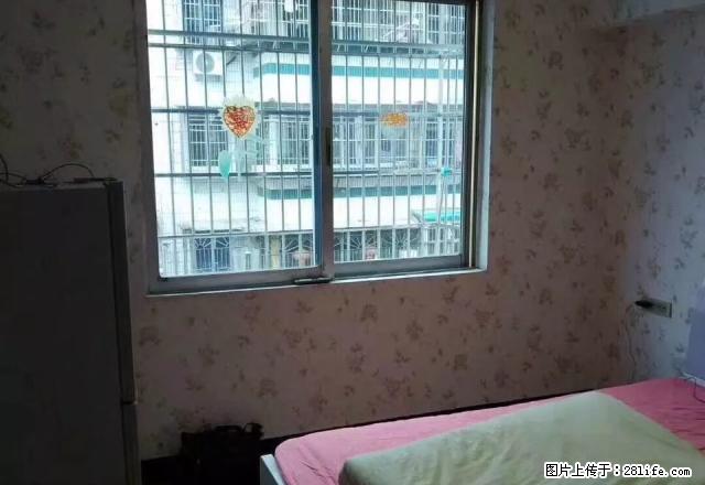 （房管家）金田小区一室一厅一厨中层家电家具齐全领包入住 - 房屋出租 - 房屋租售 - 丽水分类信息 - 丽水28生活网 lishui.28life.net