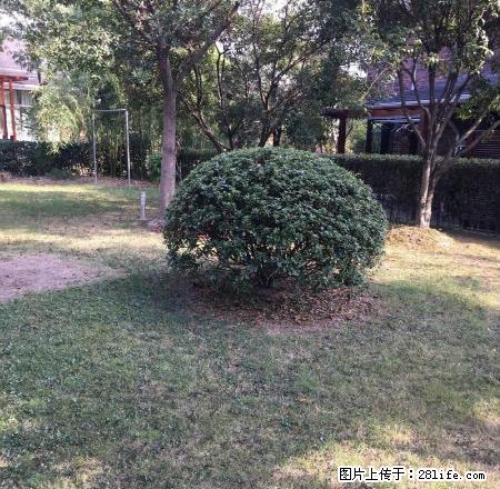 出租解放街老土地局附近住房或办公用房 - 房屋出租 - 房屋租售 - 丽水分类信息 - 丽水28生活网 lishui.28life.net