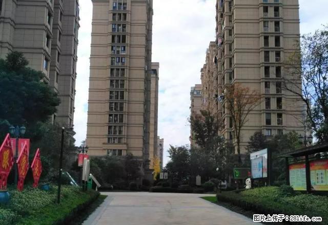 出租新湖天润阁3室二厅一卫套房A13 - 房屋出租 - 房屋租售 - 丽水分类信息 - 丽水28生活网 lishui.28life.net