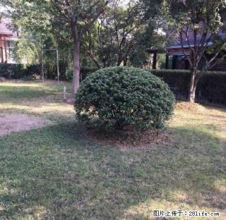 出租解放街老土地局附近住房或办公用房 - 丽水28生活网 lishui.28life.net