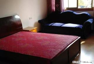 后埔一区 两室一厅一厨一卫一阳台 （靠近万地） - 丽水28生活网 lishui.28life.net