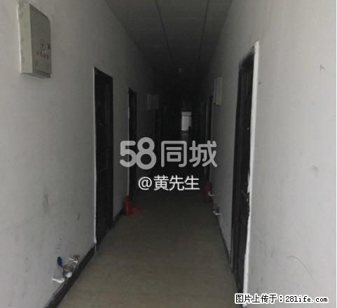 中华保险 1室0厅1卫 - 房屋出租 - 房屋租售 - 丽水分类信息 - 丽水28生活网 lishui.28life.net
