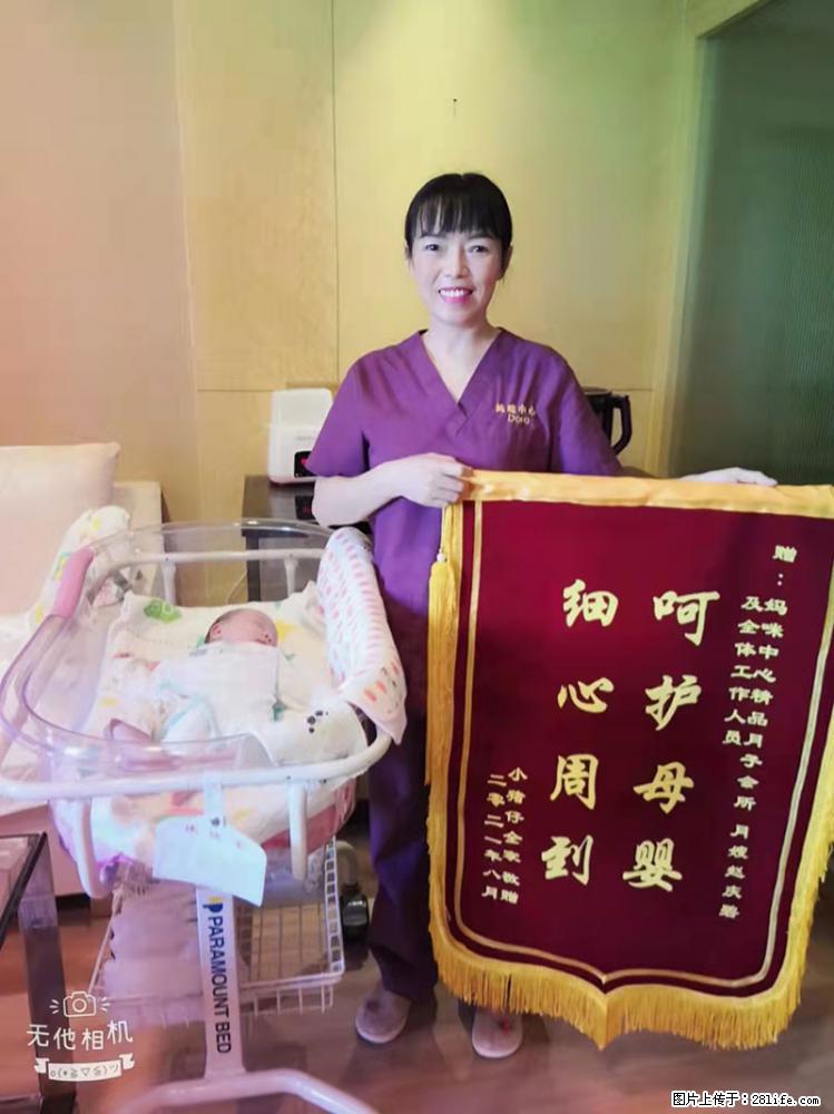 上海高端月子会所招新手月嫂，零基础带教，包吃住 - 职场交流 - 丽水生活社区 - 丽水28生活网 lishui.28life.net