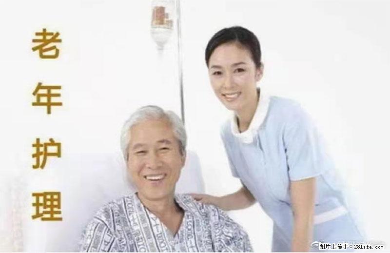 上海国企养老院，星级酒店环境，招聘养老护工 - 职场交流 - 丽水生活社区 - 丽水28生活网 lishui.28life.net