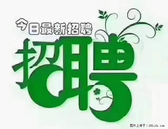 【招聘】产康师 - 职场交流 - 丽水生活社区 - 丽水28生活网 lishui.28life.net
