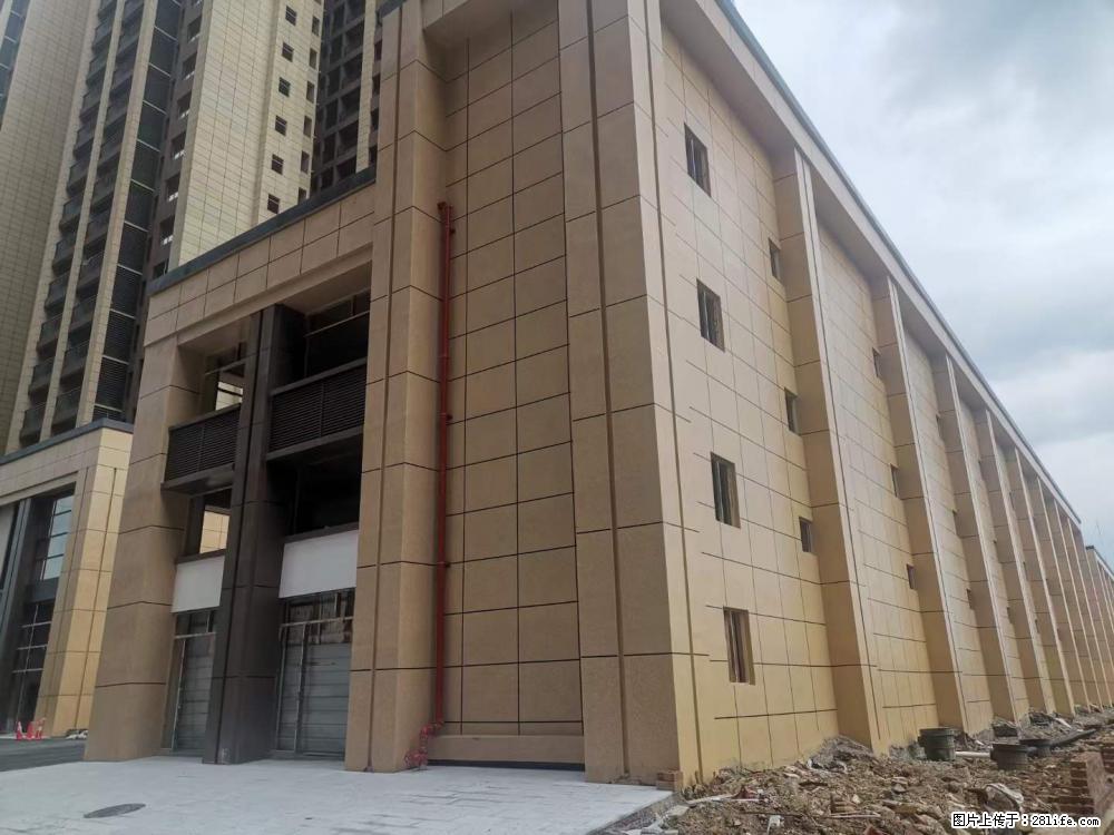 【广西三象建筑安装工程有限公司】外墙涂料工程 - 新手上路 - 丽水生活社区 - 丽水28生活网 lishui.28life.net