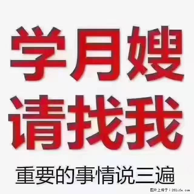 【招聘】月嫂，上海徐汇区 - 职场交流 - 丽水生活社区 - 丽水28生活网 lishui.28life.net