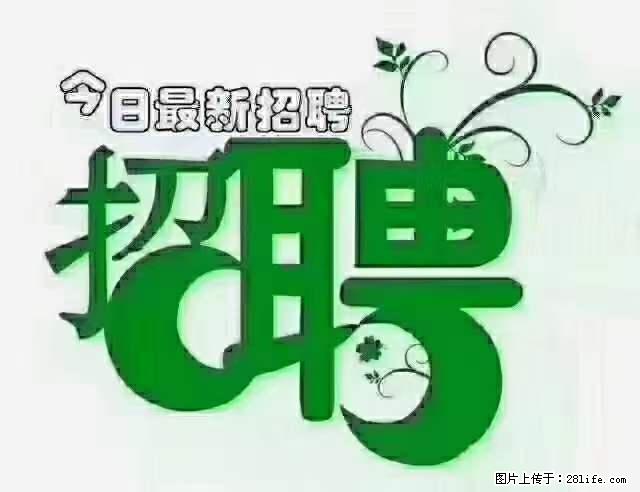 上海隔离酒店招人：55岁以下 男女不限 - 职场交流 - 丽水生活社区 - 丽水28生活网 lishui.28life.net
