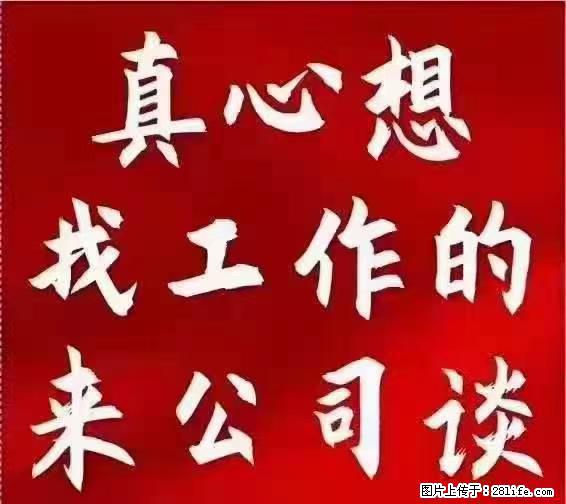 【上海】国企，医院招两名男保安，55岁以下，身高1.7米以上，无犯罪记录不良嗜好 - 职场交流 - 丽水生活社区 - 丽水28生活网 lishui.28life.net