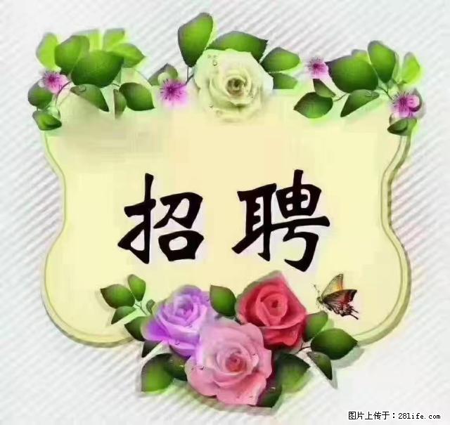 【招聘】住家育儿嫂，上户日期：4月4日，工作地址：上海 黄浦区 - 职场交流 - 丽水生活社区 - 丽水28生活网 lishui.28life.net