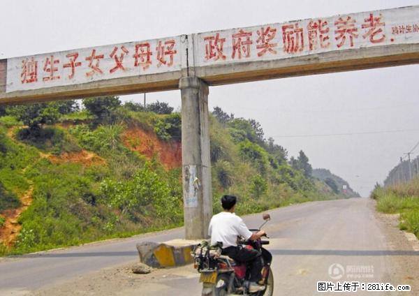 全面两孩政策计划明年元旦起实施 夫妻可延长生育假 - 丽水生活资讯 - 丽水28生活网 lishui.28life.net