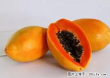 晕车、脚气、牙齿变黄、皮肤粗糙？学会这些三分钟搞定！ - 丽水生活资讯 - 丽水28生活网 lishui.28life.net