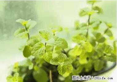 晕车、脚气、牙齿变黄、皮肤粗糙？学会这些三分钟搞定！ - 丽水生活资讯 - 丽水28生活网 lishui.28life.net