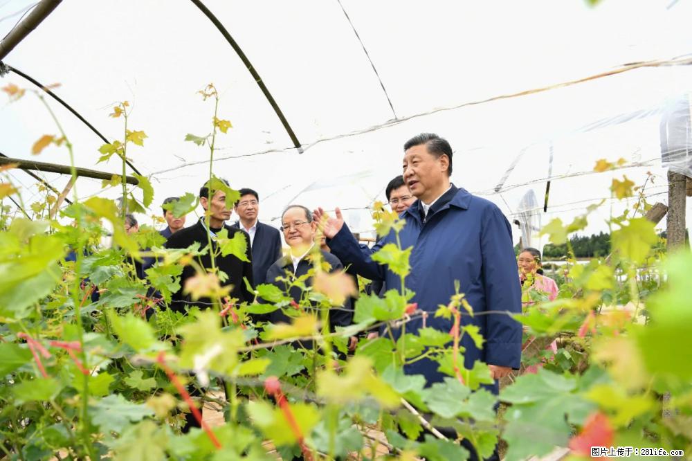 习近平赴广西考察调研 - 丽水生活资讯 - 丽水28生活网 lishui.28life.net