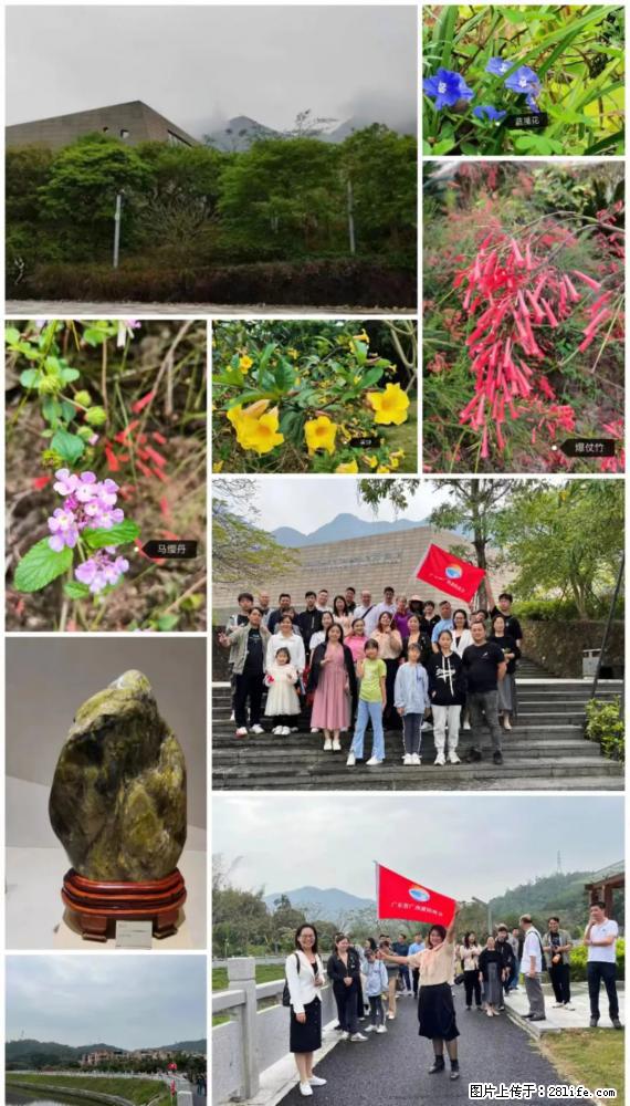“粤灌文化 美好生活”油茶文化主题活动在广东深圳成功举办 - 丽水生活资讯 - 丽水28生活网 lishui.28life.net