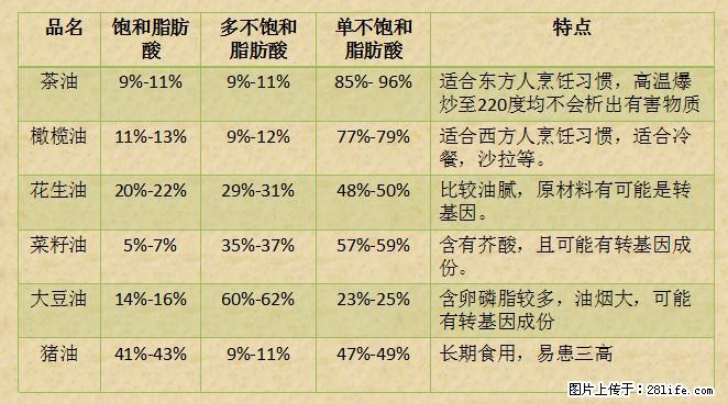 揭秘茶油的5大核心营养成分！被称为人体健康的“守护盾”！ - 丽水生活资讯 - 丽水28生活网 lishui.28life.net